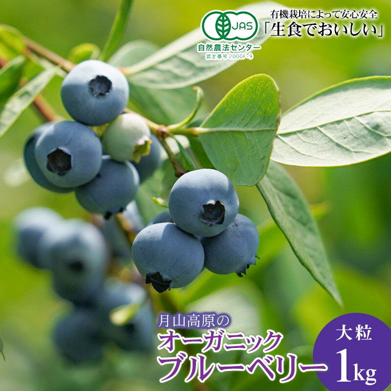 ڤդ뤵Ǽǡ6ǯ⸶Υ˥å ֥롼٥꡼(γ1kg)A65-601