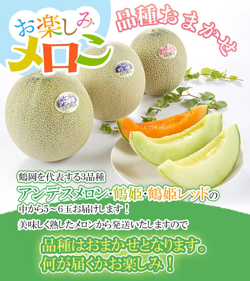 山形県鶴岡市の画像3