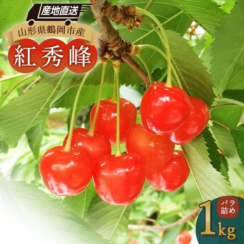 【令和6年産 先行予約】山形県鶴岡産　さくらんぼ「紅秀峰」バラ詰め1kg　B36-601