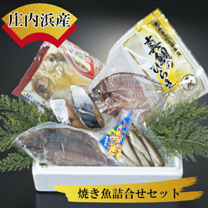 【特別セット】庄内浜産 焼き魚詰合せセット | 納税 山形 山形県 山形県鶴岡市 鶴岡市 食品 鶴岡 支援 特産品 魚介 魚介類 返礼品 魚 焼魚 詰め合わせ 焼き魚 西京漬け 鯛 ハタハタ カレイ 海の幸 水産 かれい 魚セット