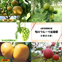 【ふるさと納税】D51-601 【定期便】山形県鶴岡産旬のお...