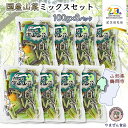 【ふるさと納税】国産山菜ミックスセット 100g×8パック K-730 【市制施行20周年記念返礼品】やまぜん食品