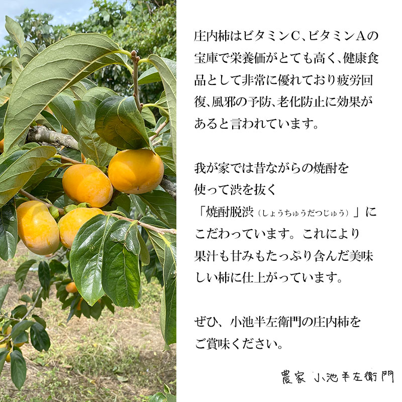 【ふるさと納税】【令和6年産 先行予約】小池半左衛門の庄内柿 5kg 平核無柿（ひらたねなしかき）| 庄内柿 柿 山形県 鶴岡市 山形 鶴岡 楽天ふるさと 納税 返礼品 支援品 支援 特産品 フルーツ くだもの 果物 かき お取り寄せグルメ ご当地 国産 デザート