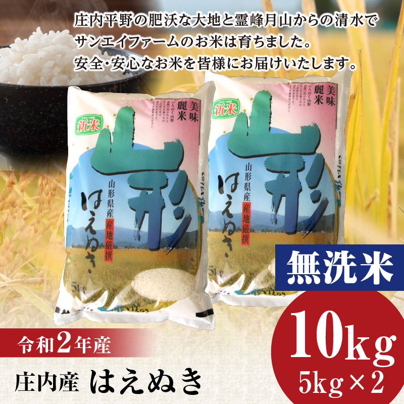 【ふるさと納税】令和2年産 無洗米 はえぬき 10kg（5kg×2袋） | 山形県 庄内産 鶴岡市 山形 楽天ふるさと 納税 楽天ふるさと納税 返礼品 支援品 特別栽培米 美味しい お米 おいしい 米 おこめ こめ コメ お米10キロ ブランド米 10キロ 庄内 名産品 特産品 米10キロ 食品