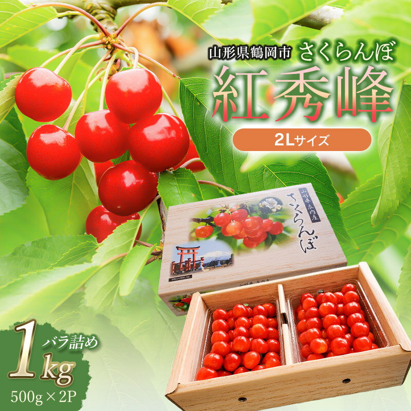 [令和6年産 先行予約]さくらんぼ 紅秀峰 2Lサイズ 1kg(500g×2P) バラ詰め