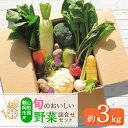 19位! 口コミ数「0件」評価「0」旬のおいしい野菜詰合せセット 約3kg