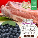 【ふるさと納税】【令和6年産 先行予約】月山高原ブルーベリー（約400g×2パック）と庄内グリーンポーク 