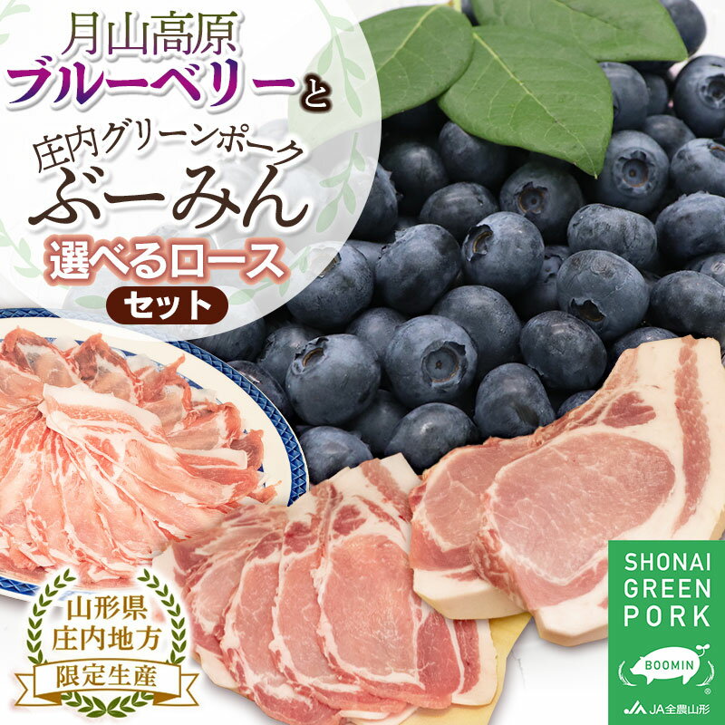 [令和6年産 先行予約]月山高原ブルーベリー(約400g×2パック)と庄内グリーンポーク"ぶーみん"選べる豚ロースセット 厚切り・スライス・しゃぶしゃぶ の3種類から2種類選べます!