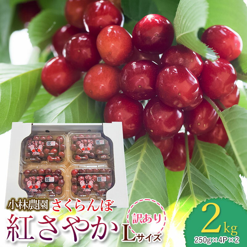 【ふるさと納税】 【令和6年産 先行予約】さくらんぼ 紅さやか Lサイズ バラ詰め 2kg（250g×4P×2）【...