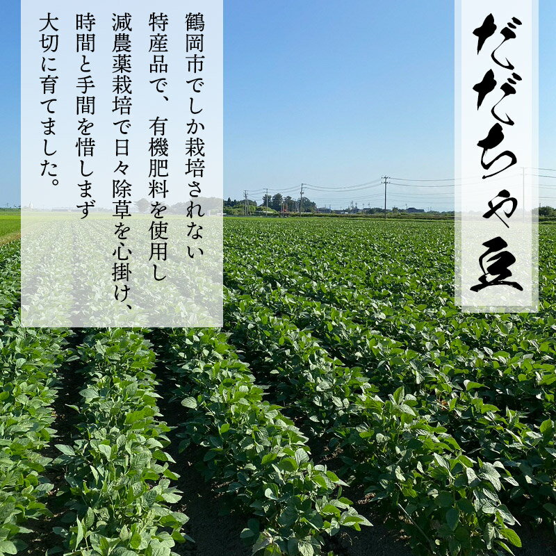 【ふるさと納税】【令和6年産 先行予約】だだちゃ豆 2kg ＋【訳あり】だだちゃ豆500g　2024年産　株式会社アグリシア