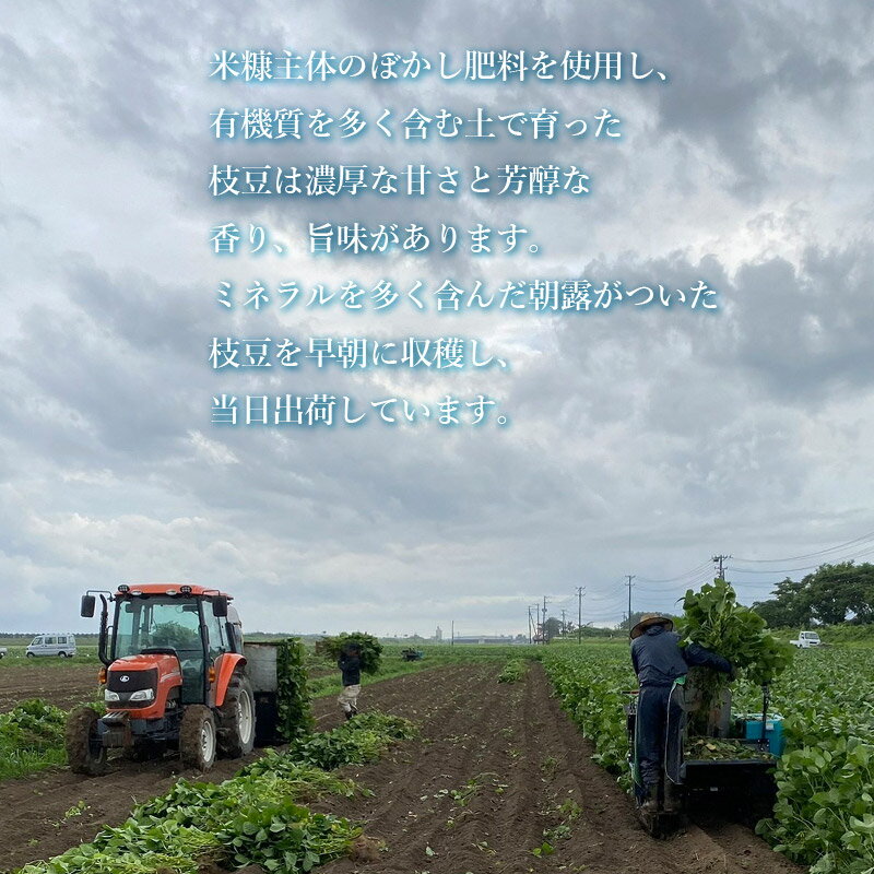 【ふるさと納税】【令和6年産 先行予約】早生枝豆　おつな姫　訳あり品 4kg　2024年産　株式会社アグリシア