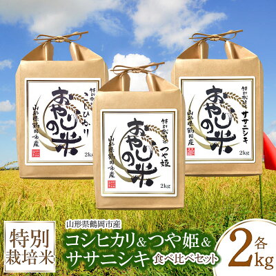 楽天ふるさと納税　【ふるさと納税】令和5年産 特別栽培米 コシヒカリ・つや姫・ササニシキ 食べ比べセット 2kg×3品種 農薬8割減・化学肥料不使用 白米 おやじの米 山形県鶴岡産 | 鶴岡市 楽天ふるさと つやひめ お米 名産品 おこめ 納税 返礼品 お取り寄せ ご当地