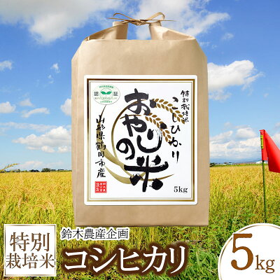 楽天ふるさと納税　【ふるさと納税】令和5年産 特別栽培米 コシヒカリ 白米 5kg 農薬8割減・化学肥料不使用 おやじの米 山形県鶴岡産 | 楽天ふるさと 納税 特産品 返礼品 支援 ご当地グルメ お取り寄せグルメ 取り寄せ こしひかり お米 コメ おこめ 5キロ ブランド米