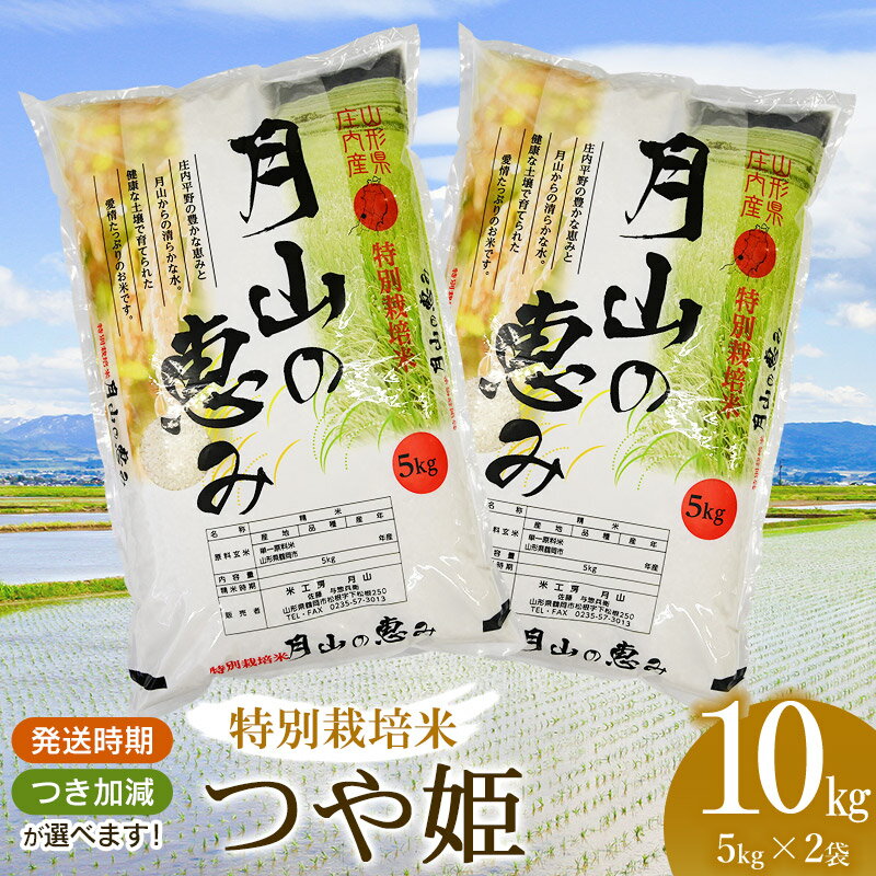 [令和5年産]特別栽培米 つや姫10kg(5kg×2袋)2023年 山形県庄内産 | 山形県 鶴岡市 山形 返礼品 無洗米 玄米 白米 精米 10キロ 食べ比べ おこめ お米 楽天ふるさと 納税 つやひめ お取り寄せ ご当地 コメ 単一米