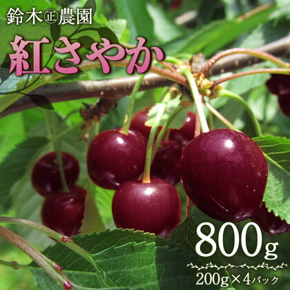 【令和6年産 先行予約】さくらんぼ 紅さやか M～Lサイズ混合　バラ詰め800g(200g×4p)　山形県 鶴岡産