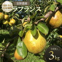 返礼品説明 内容量洋梨 ラ・フランス　化粧箱約3kg（5～9玉入） 産地山形県鶴岡市（旧櫛引） 消費期限食べ頃の紙を同封します。 発送方法常温発送 申込期日令和6年11月9日ご入金分まで 発送時期令和6年10月28日頃〜30日頃（下旬） ※天候や発育状況により、発送期間が前後する場合がございます。 ※お申込み順に発送していきますので予めご了承ください。 ※お届け日のご指定はできません。 提供事業者安野農園 ◆返品・交換について ◆返礼品の発送には万全を期しておりますが、到着後は必ずすぐに開封し中身の確認をお願いします。 ◆外装破損・水漏れ・異物・汚れ・誤配送など、異常があった場合はお早めにご連絡ください。当市の不備による初期不良・破損についての交換などの対応は、到着後2日以内までとさせていただきます。 アレルギー表示特定原材料7品目および特定原材料に準ずる21品目は使用していません ※写真はイメージです。 ・ふるさと納税よくある質問はこちら ・寄附申込みのキャンセル、返礼品の変更・返品はできません。あらかじめご了承ください。発送時期について必ずご確認の上お申し込みください。 発送時期：令和6年10月28日頃～11月30日頃 ※天候や生育状況により発送が前後する場合がございます。予めご了承ください。 ※お届け日のご指定はお受けできません。 ※お申し込み後にお引越しなどでお届け先に変更が生じた場合は、お早めにご連絡をいただきますようお願いいたします。