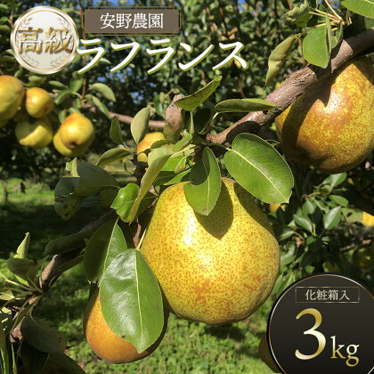 高級ラフランス　約3kg（5～9玉入） 化粧箱