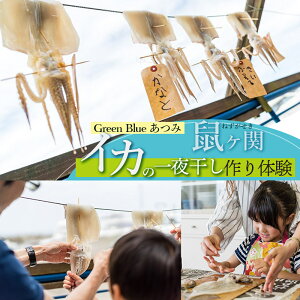 【ふるさと納税】Green Blue あつみ「鼠ヶ関 イカの一夜干し作り体験」2名様