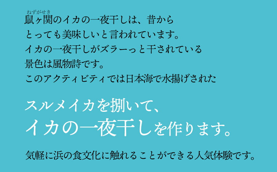 【ふるさと納税】Green Blue あつみ「鼠ヶ関　イカの一夜干し作り体験」2名様 3