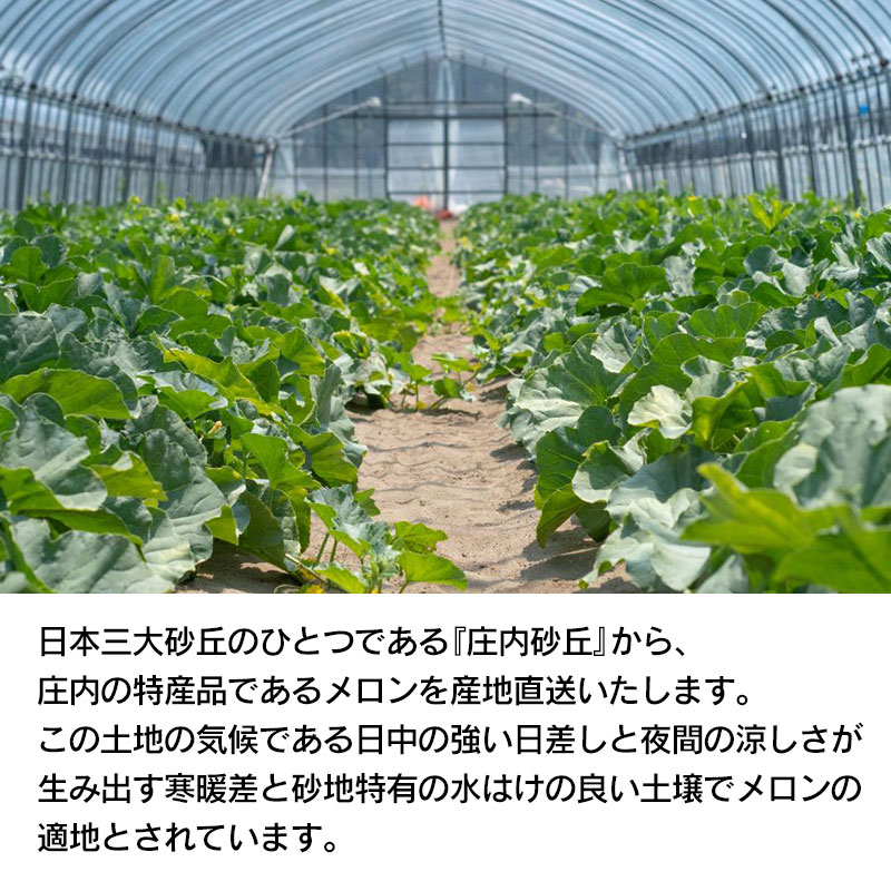 【ふるさと納税】【令和6年産 先行予約】 成澤農園 鶴岡産砂丘メロン 秀逸品 4〜5玉 アンデスメロン 約5kg　K-633