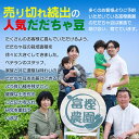 【ふるさと納税】【令和6年産 先行予約】富樫農園の朝採りだだちゃ豆【8月上旬発送】900g（300g×3袋）早生甘露・甘露　X05-001 枝豆 山形県鶴岡市産 2