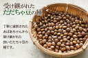 【ふるさと納税】【令和6年産 先行予約】富樫農園の朝採りだだちゃ豆【8月上旬発送】900g（300g×3袋）早生甘露・甘露　X05-001 枝豆 山形県鶴岡市産 3