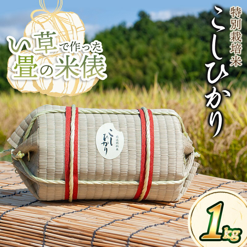 [令和5年産]い草で作った畳の米俵 特別栽培米 コシヒカリ 1kg