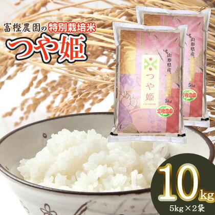 【令和6年産米 先行予約】富樫農園の特別栽培米 つや姫 精米10kg（5kg×2袋）　A56-002