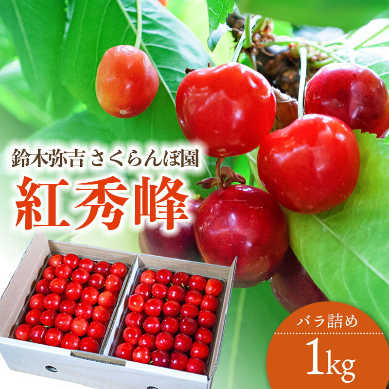 【ふるさと納税】【令和6年産 先行予約】さくらんぼ 紅秀峰 バラ詰め 1kg (500g×2)　B04-601