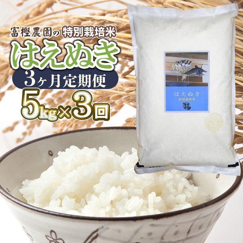 [令和6年産米 先行予約][定期便3ヶ月]富樫農園の特別栽培米 はえぬき 精米5kg×3ヶ月