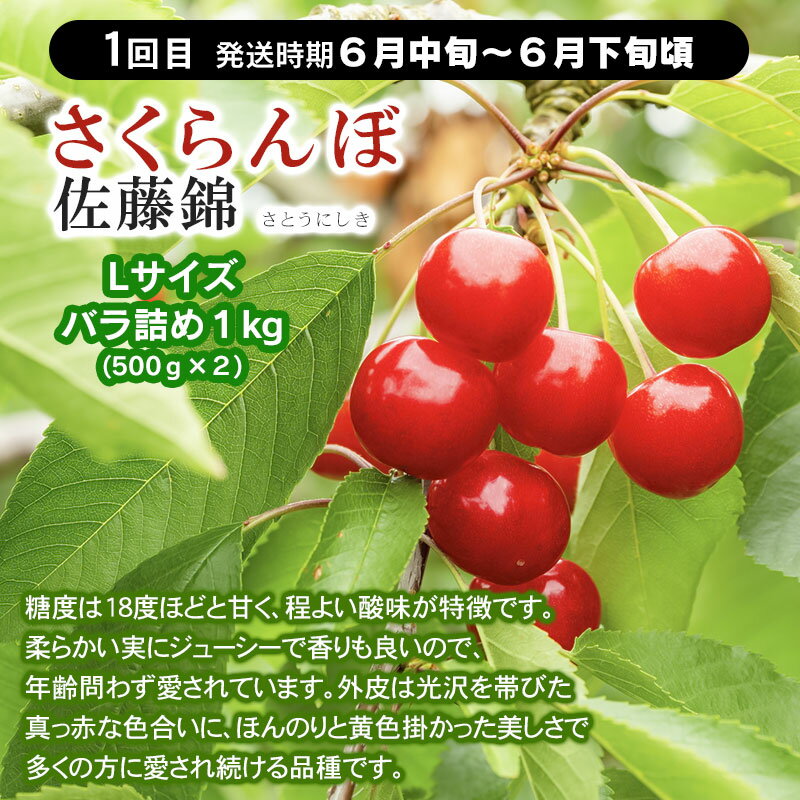 山形県鶴岡市の画像3