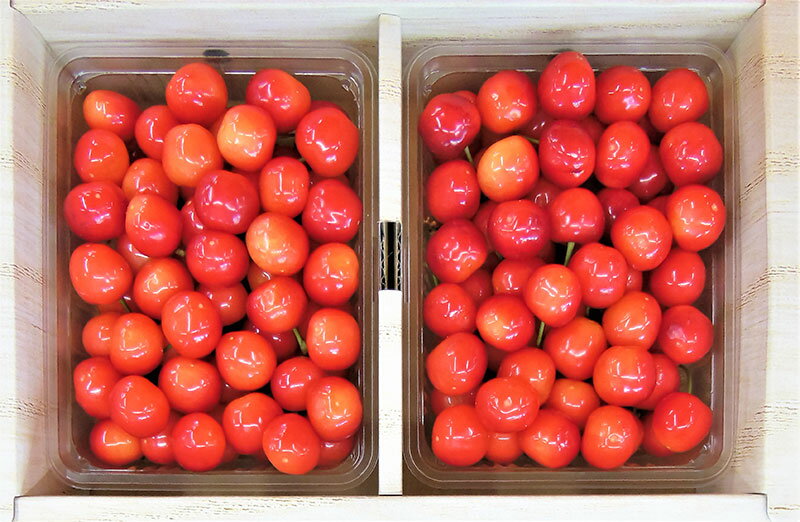 山形県鶴岡市の画像2