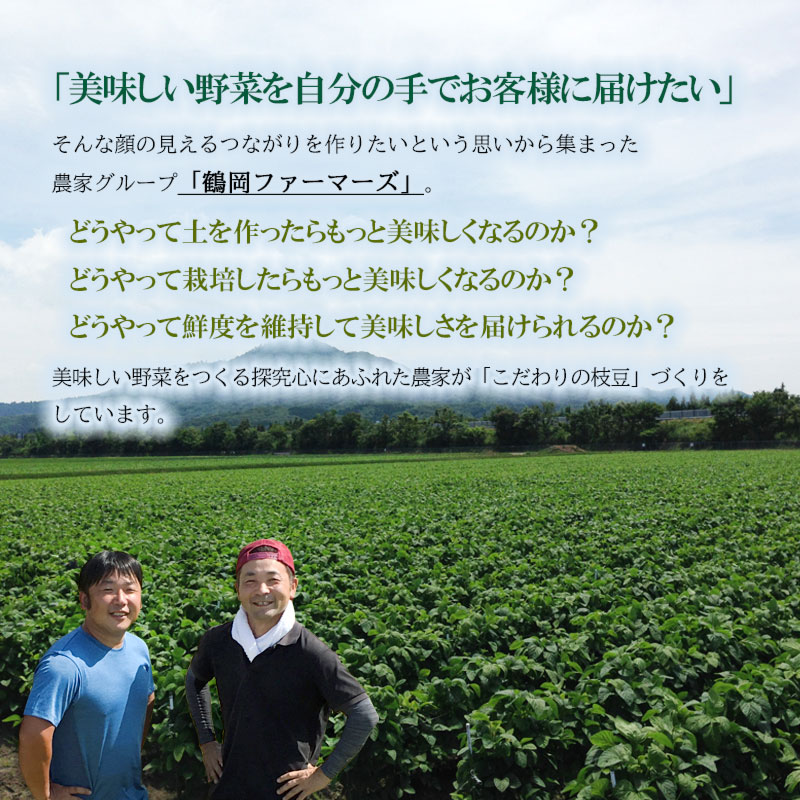 【ふるさと納税】【令和6年産 先行予約】鶴岡市特産 朝採りだだちゃ豆 2kg×4回 8月中毎週お届け