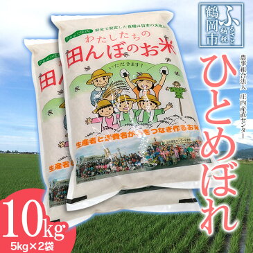 【ふるさと納税】令和2年産 ひとめぼれ 精米10kg(5kg×2袋) 山形県庄内産