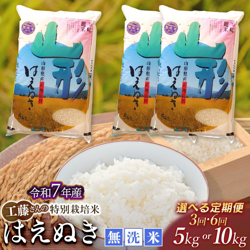 【ふるさと納税】【令和7年産先行予約】【定期便】工藤さんの 特別栽培米 はえぬき 無洗米 5kg 又は 10kg 毎月1回中旬発送【選べる回数】3・6回 山形県 庄内産 2025年産のサムネイル