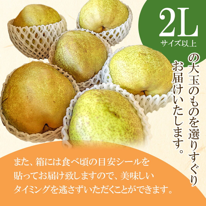 【ふるさと納税】【令和6年産 先行予約】ラ・フランス 3kg　2L以上（秀品）　庄内産直センター 3