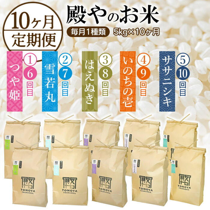 【ふるさと納税】 【定期便10ヶ月】 【令和4年産】 殿やのお米 食べ比べ 5種類 毎月1種類 5kg × 10ヶ月 つや姫・雪若丸・はえぬき・いのちの壱・ササニシキ 月替わり 頒布会