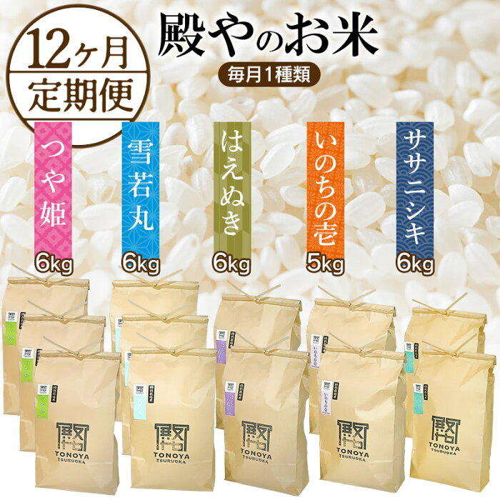 【ふるさと納税】 【定期便12ヶ月】 【令和4年産】 殿やのお米 食べ比べ 5種類 毎月1種類 6kg (5kg) × 12ヶ月 つや姫 ・ 雪若丸 ・ はえぬき ・ いのちの壱 ・ ササニシキ 月替わり 頒布会 ※いのちの壱は5kgとなります