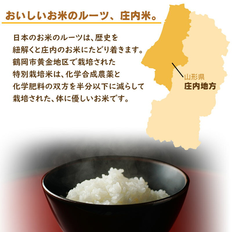 【ふるさと納税】【令和5年産】山形県庄内産 特別栽培米 つや姫5kg＆雪若丸5kg（合計 精米10kg）