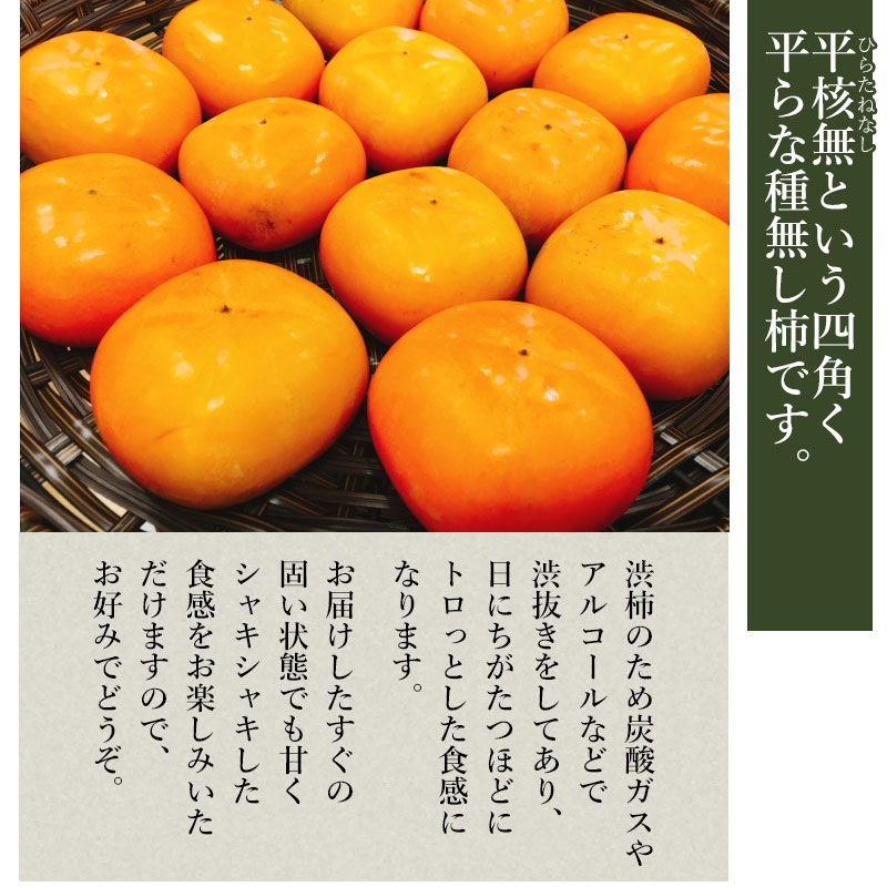 【ふるさと納税】【令和6年産 先行予約】 庄内柿 秀品 約10kg(50個〜62個) 平核無柿（種無し） | 山形県 鶴岡市 返礼品 楽天ふるさと 納税 フルーツ 果物 くだもの かき カキ お取り寄せ 自宅用 家庭用 取り寄せ 国産 果実 予約 ふるーつ 3