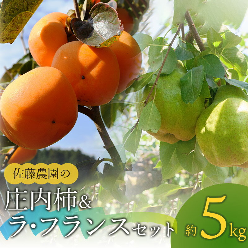 ラ・フランス 【ふるさと納税】【令和6年産 先行予約】庄内柿 M〜L(約3kg)＆ラ・フランス2L〜3L(約2kg)セット　合計約5kg