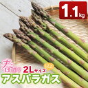 5位! 口コミ数「2件」評価「5」 【令和6年産 先行予約】春採りアスパラガス 2Lサイズ以上　約1.1kg