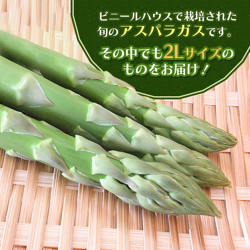 山形県鶴岡市の画像2