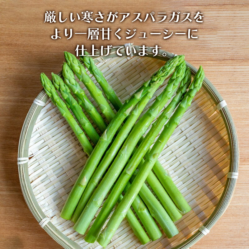 山形県鶴岡市の画像3