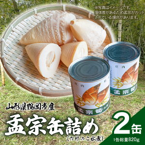 【ふるさと納税】【先行予約】山形県鶴岡産　孟宗缶詰（たけのこ水煮缶）（内容総量820g）2個セット