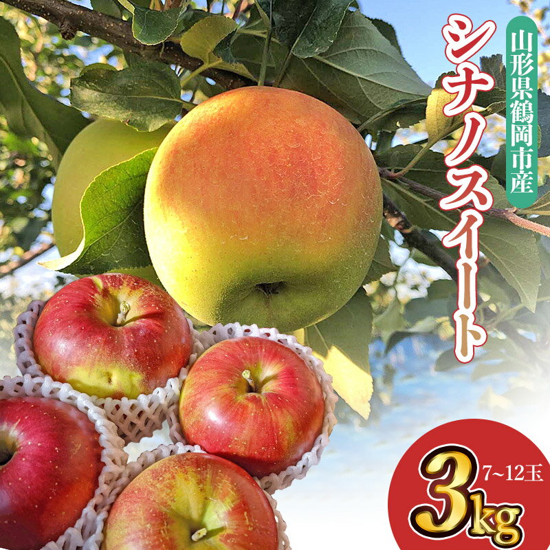 [令和6年産 先行予約]山形県鶴岡市産 りんご シナノスイート3kg(7〜12玉) | 返礼品 支援品 名産品 楽天ふるさと 納税 お取り寄せ ご当地