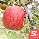 【ふるさと納税】【令和7年産 先行予約】山形県鶴岡市産 ふじりんご 約5kg入箱(12~20玉) 農事組合法人 産直センター