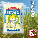 令和5年産 はえぬき 精米 5kg山形県鶴岡市産 | お米 おこめ 庄内 取り寄せ 返礼品 特産品 美味しい 白米 5キロ ご当地 ブランド米 コメ