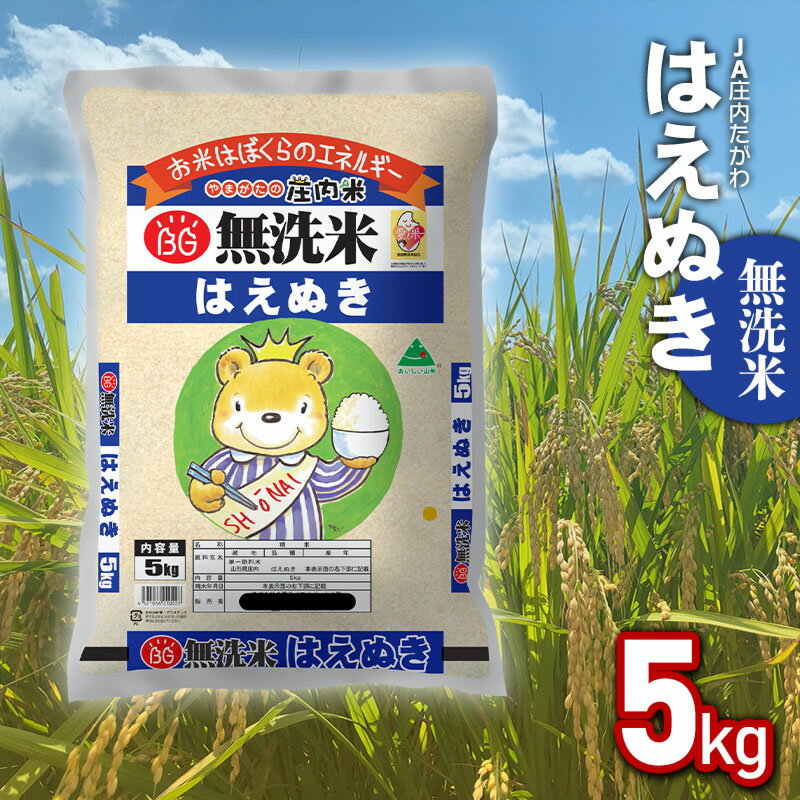 【ふるさと納税】令和5年産 無洗米 はえぬき 5kg×1袋 JA庄内たがわ 山形県鶴岡市産 | 返礼品 5キロ お取り寄せ ブランド米 白米 精米 東北