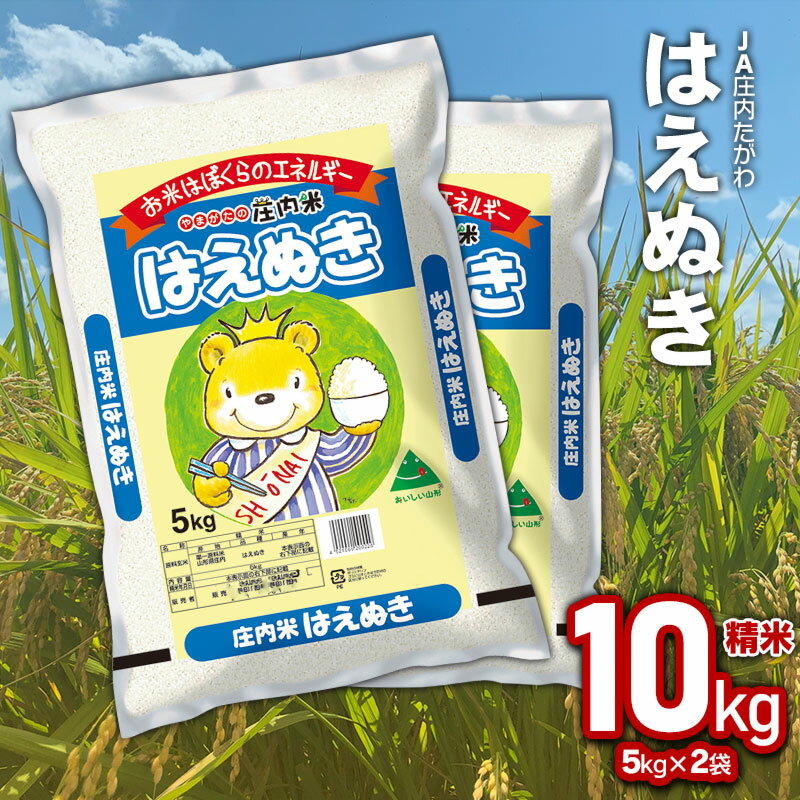 令和5年産 はえぬき 精米 10kg(5kg×2袋) 山形県鶴岡市産 JA庄内たがわ | お取り寄せ 特産品 美味しい 白米 米10キロ ご当地 ブランド米 庄内米